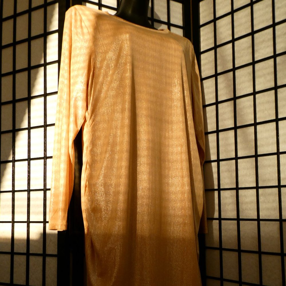 Shimmery party dress in size 2X